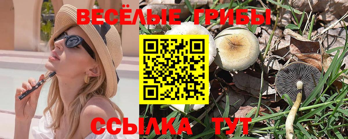 Псилоцибиновые грибы прущие грибы Кашира