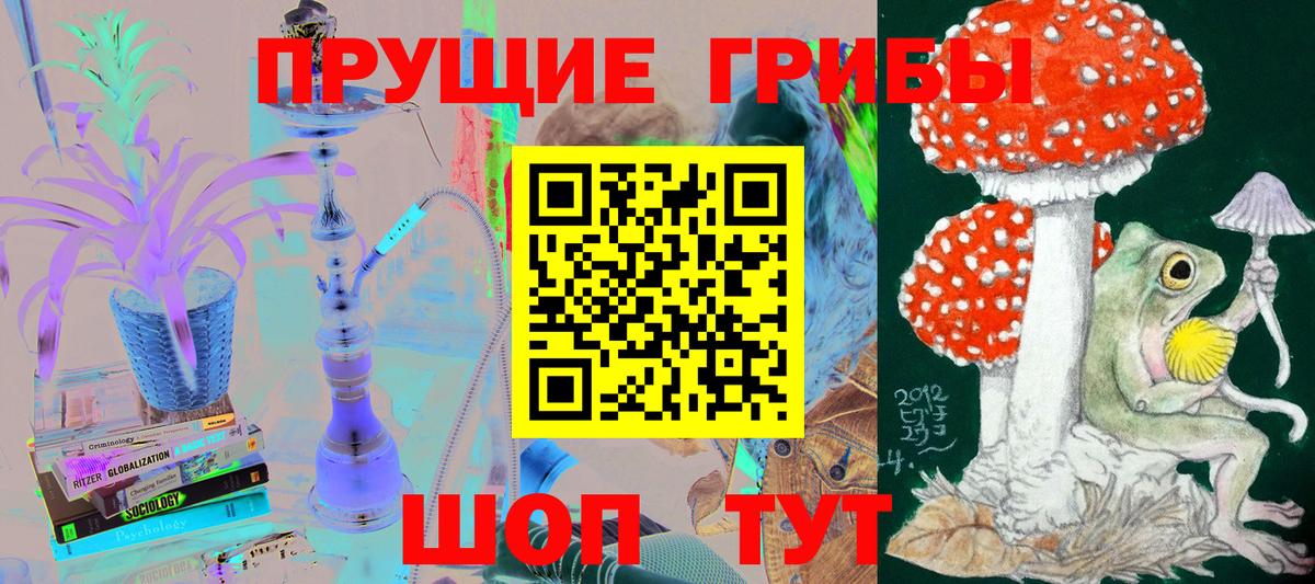 Галлюциногенные грибы Psilocybine cubensis  Вход с VPN  Кашира 